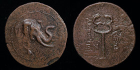 GRECO-BAKTRIAN KINGDOM, Demetrios I Aniketos, c. 200-185 BCE, Æ trichalkon. 11.95g, 32mm.
Obv: Head of elephant right, wearing bell around neck.
Rev: ...