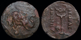 GRECO-BAKTRIAN KINGDOM, Demetrios I Aniketos, c. 200-185 BCE, Æ trichalkon. 9.19g, 28mm.
Obv: Head of elephant right, wearing bell around neck.
Rev: Β...