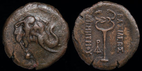 GRECO-BAKTRIAN KINGDOM, Demetrios I Aniketos, c. 200-185 BCE, Æ trichalkon. 11.35, 28.5mm.
Obv: Head of elephant right, wearing bell around neck.
Rev:...