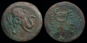 GRECO-BAKTRIAN KINGDOM, Demetrios I Aniketos, c. 200-185 BCE, Æ trichalkon. 11.68g, 28mm.
Obv: Head of elephant right, wearing bell around neck.
Rev: ...