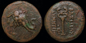 GRECO-BAKTRIAN KINGDOM, Demetrios I Aniketos, c. 200-185 BCE, Æ trichalkon. 12.53g, 27mm.
Obv: Head of elephant right, wearing bell around neck.
Rev: ...