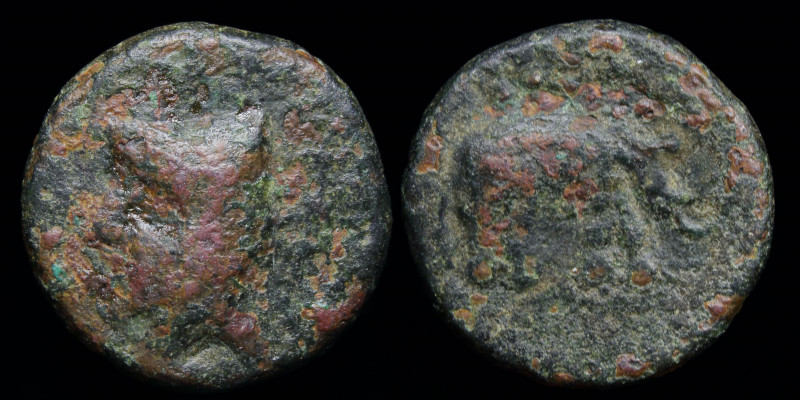 PARTHIA: Phriapatios (185-170 BCE) AE chalkous. Hekatompylos, 1.75g, 12mm. 
Obv:...