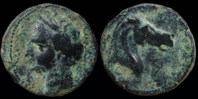 CARTHAGE, Punic Iberia, AE Unit/Calco, c. 220-215 BCE. Carthago Nova, 9.59g, 23mm.
Obv: Head of Tanit left.
Rev: Horse head right, mouth slightly open...