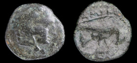 KINGS OF MACEDON, Amyntas III (393-369 BCE). Aigai or Pella. 3.40g, 16mm.
Obv: Head of Herakles right wearing lion skin.
Rev: Eagle standing right, de...