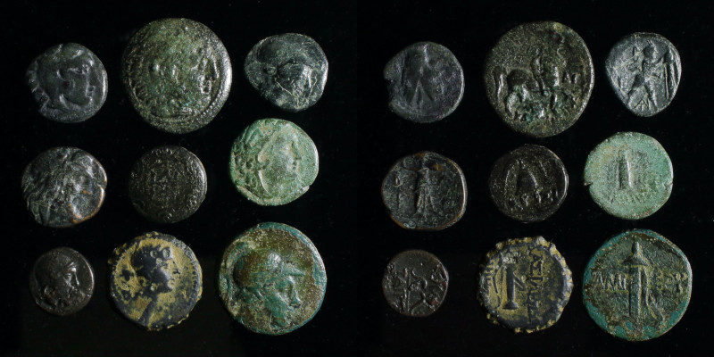 Hellenistic AE group (9 coins): includes Amyntas III (eagle with snake), Kassand...