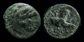 KINGS OF THRACE: Lysimachos (305-281 BCE), AE14. 1.84g, 13.5mm.
Obv: Head of Herakles right, wearing lion skin.
Rev: ΛΥ - ΣΙΜΑ, forepart of lion right...
