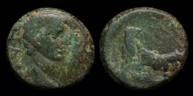 MACEDON, Philippi: Augustus (27 BCE-14 CE), AE13. 6.45g, 12.5mm.
Obv: AVG; Bare head right.
Rev: Two pontiffs driving team of oxen right, plowing pome...