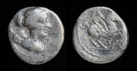 Q. Titius quinarius, issued 90 BCE. Rome, 1.65g, 13mm.
Obv: Draped and winged bust of Victory right
Rev: Pegasus leaping right, Q. TITI below. 
Crawfo...