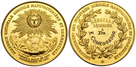 France. Medal. 1848. Anv.: ACADEMIE NATIONALE AGRICOLE MANUFACTURIÉRÉ ET COMERCIALE FONDEÉ PARIS EN 1830 RECONSTITUEÉ EN 1848. Rev.: ENCOURAGEMENT AUX...