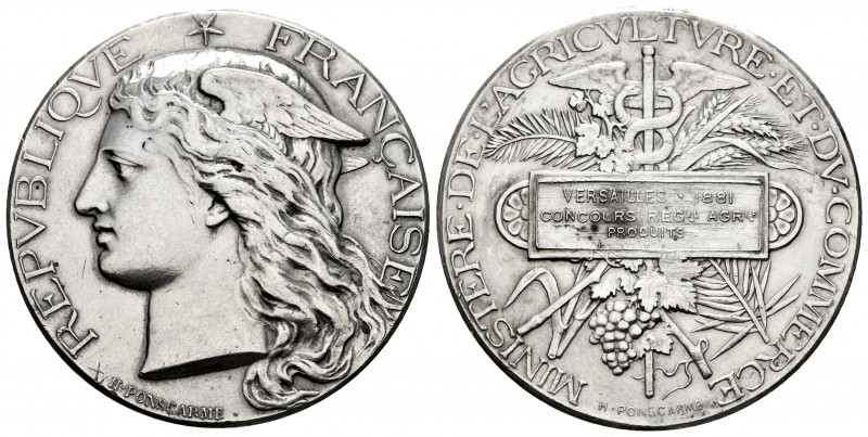 France. Medal. 1881. Ag. 36,68 g. Ministry of agriculture. 41mm. XF. Est...60,00...