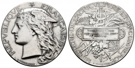 France. Medal. 1881. Ag. 36,68 g. Ministry of agriculture. 41mm. XF. Est...60,00. 


 SPANISH DESCRIPTION: Francia. Medalla. 1881. Ag. 36,68 g. Min...