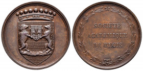 France. Medal. Ae. 15,24 g. Academic Society of Blois. 33mm. AU. Est...40,00. 


 SPANISH DESCRIPTION: Francia. Medalla. Ae. 15,24 g. Sociedad Aced...
