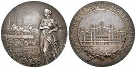 France. Medal. (hacia 1920). (Döry-Kub 165). Anv.: Female figure with attributes for trade, in the background a railway machine. Rev.: COMPAGNIE DU CH...