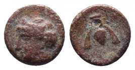 Ephesos, c. 305-288 BC.
Condition: Very Fine
Weight: 1.4 gr
Diameter: 11 mm