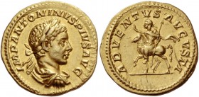 Elagabalus 218 – 222
Aureus 220-222, AV 6.43 g. IMP ANTONINVS PIVS AVG Laureate, draped and cuirassed bust r. Rev. ADVENTVS AVGVSTI Emperor on horseb...