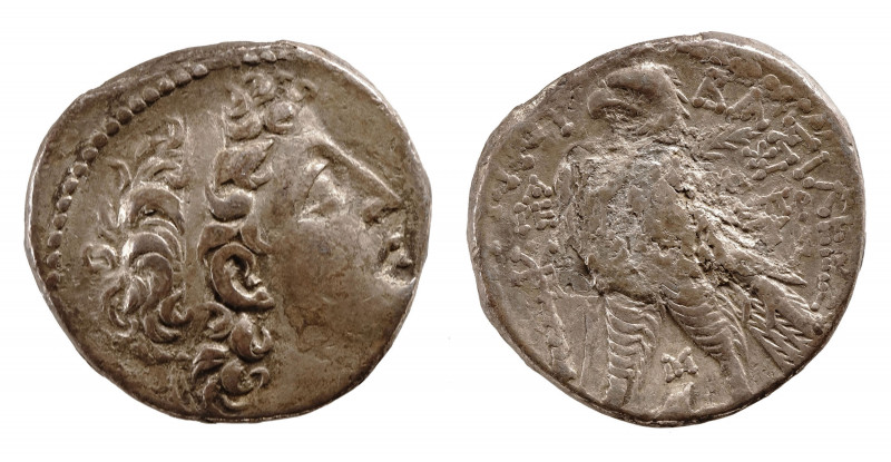 Antiochia - Demetrius II - second reign А-РЕ; between eagles legs - M to r. - AE...