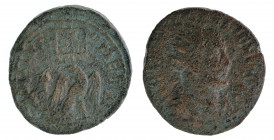 Phenicia - Galienus - Tyre - bronze - 19.00g - BMC 492