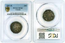 Calabria - Taras - AR Didrachm - c.302-281 BC - NGC XF