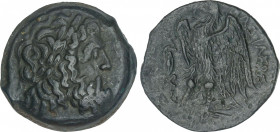 Ancient Greece
AE 26. 285-246 a.C. PTOLOMEO II FILADELFO. EGIPTO. Anv.: Cabeza diademada de Zeus a derecha. Rev.: Águila, debajo rayo y monograma. AE...