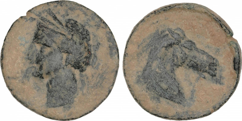 Celtiberian Coins
Calco. 220-215 a.C. CARTAGONOVA (CARTAGENA, Murcia). Anv.: Ca...