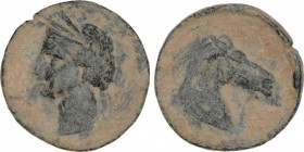 Celtiberian Coins
Calco. 220-215 a.C. CARTAGONOVA (CARTAGENA, Murcia). Anv.: Cabeza de Tanit a izquierda. Rev.: Cabeza de caballo a derecha. 9 grs. A...