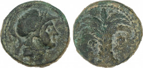 Celtiberian Coins
Calco. 220-215 a.C. CARTAGONOVA (CARTAGENA, Murcia). Anv.: Cabeza de Marte a derecha. Rev.: Palmera. 5,20 grs. AE. Pátina verde osc...