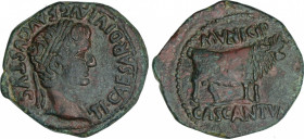 Celtiberian Coins
As. 14-36 d.C. ÉPOCA DE TIBERIO. CASCANTUM (CASCANTE, Navarra). Anv.: TI. CAESAR. DIVI. AVG. F. AVGVSTVS. Cabeza de Tiberio lauread...