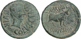 Celtiberian Coins
As. 27 a.C.-14 d.C. ÉPOCA DE AUGUSTO. CELSA (VELILLA DE EBRO, Zaragoza). Anv.: Cabeza de Augusto a derecha, alrededor COL.V.I.CELSA...