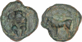 Celtiberian Coins
1/4 Calco. 300-200 a.C. EBUSUS (IBIZA). Anv.: Bes de frente con martillo y serpiente. Rev.: Toro a izquierda. 2,50 grs. AE. AB-904;...