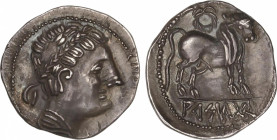 Celtiberian Coins
Dracma. 170-20 a.C. ARSGITAR (SAGUNTO, Valencia). Anv.: Cabeza imberbe laureada a derecha. Rev.: Toro parado, encima láurea, bajo l...