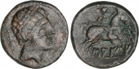 Celtiberian Coins
As. 120-20 a.C. SAITI (XÁTIVA, Valencia). Anv.: Cabeza masculina a derecha, detrás espiga. Rev.: Jinete con lanza a derecha, debajo...