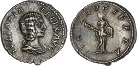 Roman Coins
Empire
Denario. Acuñada el 211-217 d.C. JULIA DOMNA. Anv.: IVLIA PIA FELIX AVG. Busto diademado y drapeado de Julia Domna a derecha. Rev...