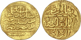 Al-Andalus and Islamic Coins
Ottoman Turks
Sultani. SULEYMAN I. MISR. 3,47 grs. AU. Fecha no visible. A-1317. MBC+.