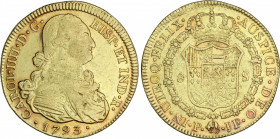 Spanish Monarchy
Charles IV
8 Escudos. 1793. POPAYÁN. J.F. 26,86 grs. Restos de brillo original. (Leves golpecitos). Cal-71; XC-1054. MBC+.