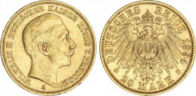 World Coins
German States
20 Marcos. 1894-A. GUILLERMO II. PRUSIA. 7,96 grs. AU. (Pequeños golpecitos y rayitas). Fr-3831; KM-521. EBC-.