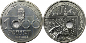 Europäische Münzen und Medaillen, Ungarn / Hungary. Fußball-Weltmeisterschaft 1994, USA. 1000 Forint 1993, Silber. 0.94 OZ. KM 706. Stempelglanz