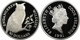 Weltmünzen und Medaillen, Cookinseln / Cook Islands. Gefährdete Weltwildleben-Reihe - Uhu. 50 Dollars 1991. 19,80 g. 0.925 Silber. 0.59 OZ. KM 93. Pol...