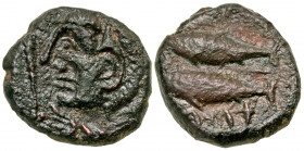 Iberia, Gadir. Early 1st century B.C. AE half unit (17.8 mm, 5.03 g, 3 h). Head of Melqart left, wearing lion's skin; club before / Two tunnies to lef...