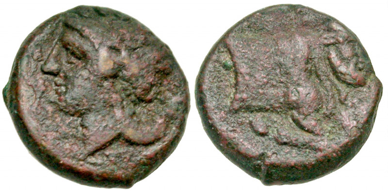 Campania, Neapolis. Ca. 317/310-270 B.C. AE 14 (14.0 mm, 2.25 g, 12 h). NEOΠOΛIT...