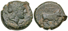 Campania, Neapolis. Ca. 317/310-270 B.C. AE unit (19.5 mm, 6.59 g, 7 h). Laureate head of Apollo right; four dolphins around / NEOΠOΛITEΩN, Acheloios ...