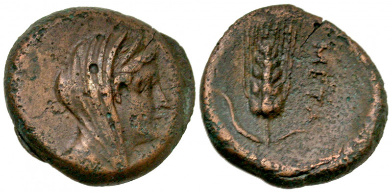 Lucania, Metapontion. Ca. 300-250 B.C. AE 16 (16.1 mm, 2.66 g, 11 h). Veiled and...