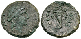 Lucania, Paestum. After 211 B.C. AE triens (20.0 mm, 6.55 g, 7 h). Wreathed head of Dionysos right; four pellets behind / ΠAIS, cornucopia; four pelle...