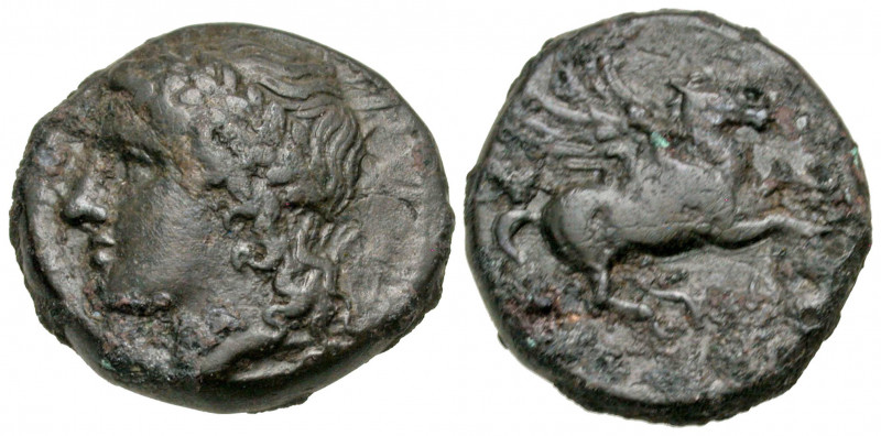 Sicily, Syracuse. Timoleon and the Third Democracy. 344-317 B.C. AE onkia (18.4 ...