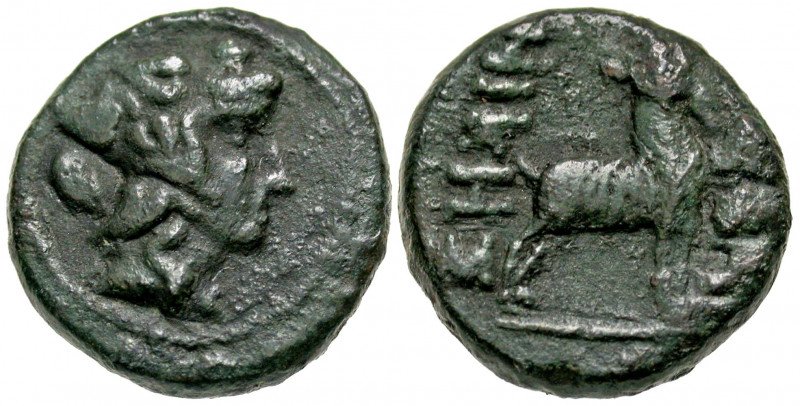 Macedon, Thessalonica. Ca. 187-131 B.C. AE 18 (17.9 mm, 6.15 g, 1 h). Head of Di...