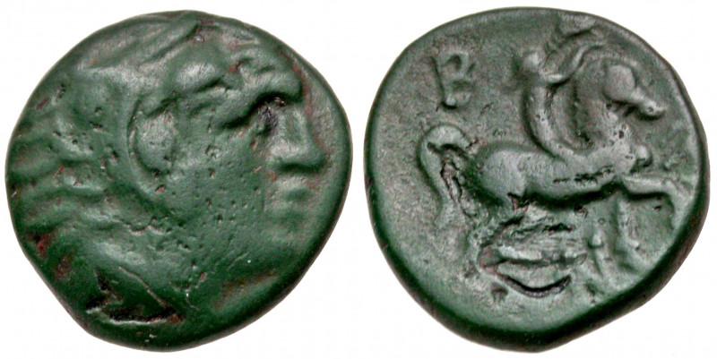 Macedonian Kingdom. Philip V. 221-179 B.C. AE half unit (17.9 mm, 4.56 g, 11 h)....