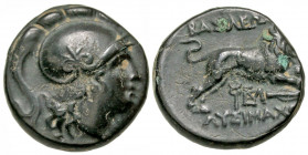 Thracian Kingdom. Lysimachos. As King, 306-281 B.C. AE 18 (18.1 mm, 5.11 g, 8 h). Uncertain Macedonian mint. Helmeted head of Athena right / ΒAΣIΛEΩΣ ...