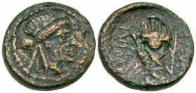 Ionia, Smyrna. Ca. 75-50 B.C. AE 15 (15.2 mm, 3.07 g, 1 h). Apatourios, magistrate. Laureate head of Apollo right / ZMYPNAIΩN AΠATOYΠIOΣ, hand in a ca...