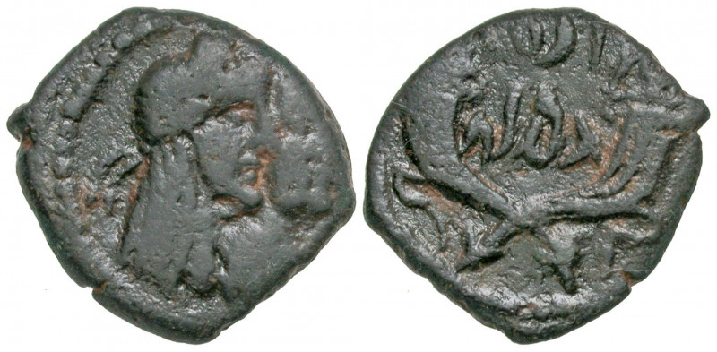 Nabataean Kingdom. Rabbel II, with Gamilat. A.D. 70-106. AE unit (17.7 mm, 3.02 ...