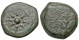 Judaea, Hasmonean Kingdom. Alexander Jannaeus. 103-76 B.C.E. AE prutah (16.7 mm, 3.58 g). Jerusalem mint. Eight-rayed star within diadem, Paleo-Hebrew...