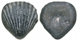 Anonymous. 4th-3rd century B.C. AE cast aes formatum (38x36x13 mm, 91.94 g). Cast bronze in the form of a cockle shell. Thurlow & Vecchi p. 20; Burgos...